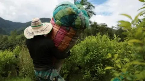 US Labels the South American Nation as Failing to Cooperate in Drug War