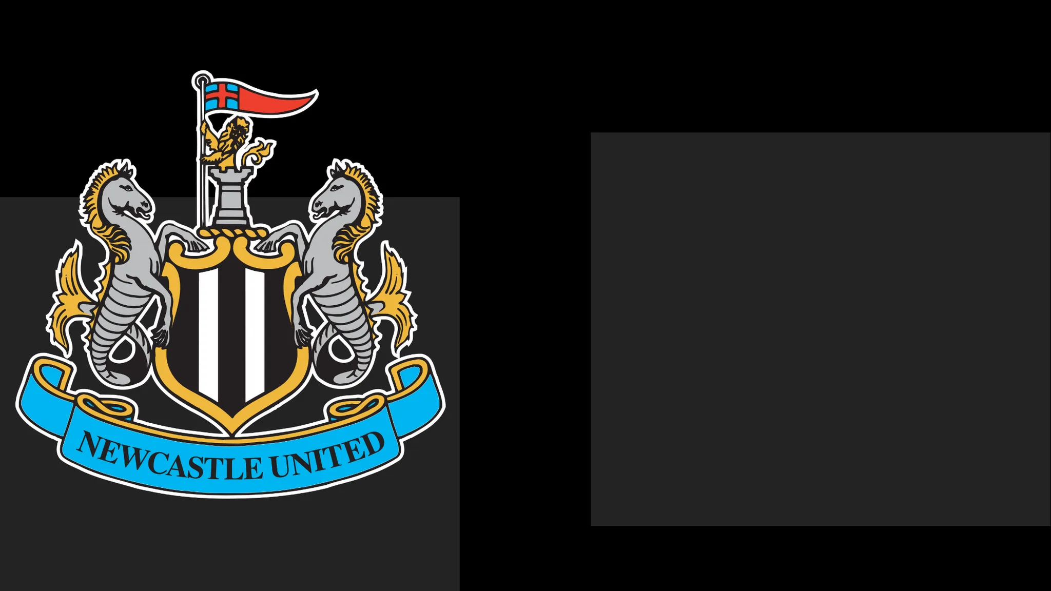 Newcastle's boss Praises Team's Determination – Yet That Only Carries Them To a Point